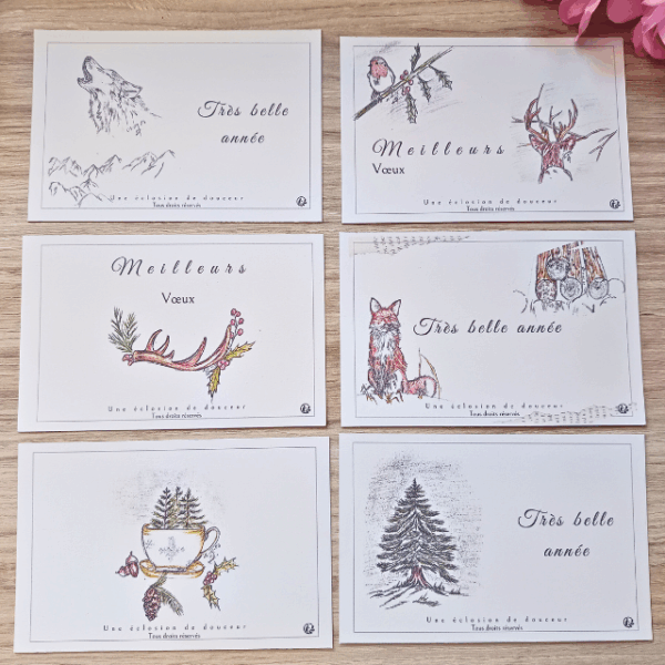 Souvenir des Alpes