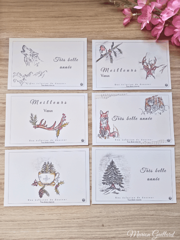 Souvenir des Alpes